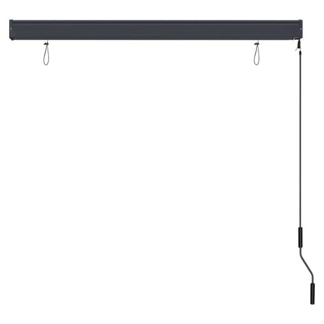 Rolgordijn voor buiten 140x250 cm antraciet 5