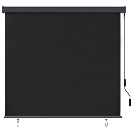 Rolgordijn voor buiten 160x250 cm antraciet 2