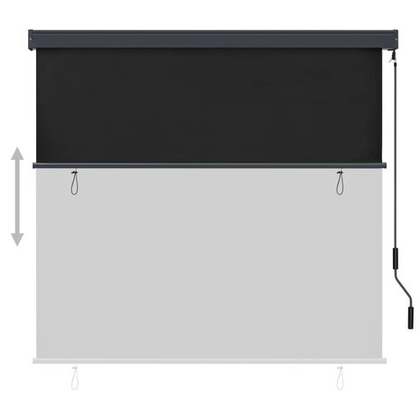 Rolgordijn voor buiten 160x250 cm antraciet 3