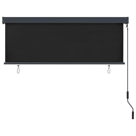 Rolgordijn voor buiten 160x250 cm antraciet 4
