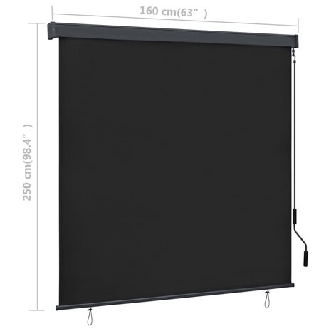 Rolgordijn voor buiten 160x250 cm antraciet 8