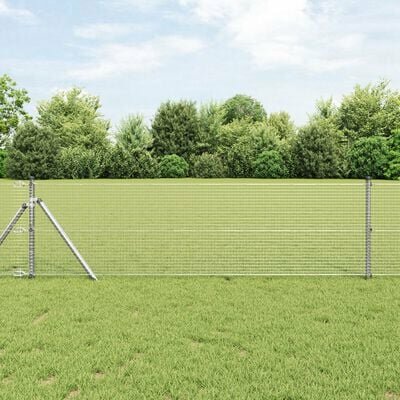 Gelaste Draadhek 0,8x25 m Geavanceerd Staal 1