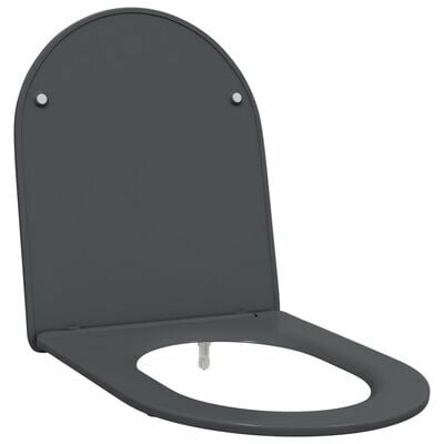 Snelle Toiletbril met Zachte Sluiting Duroplast Anthraciet 2