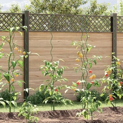 Spiraal Plantensteunen 20 stuks 170 cm Staal 1