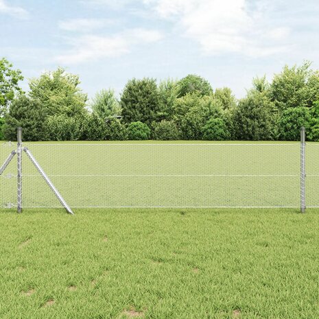 Hexagon Tuinhek 0.6x50 m Verzinkt Staal 1