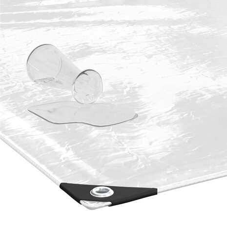 Doorzichtig zeildoek met zeilringen 1x2 m PVC 5