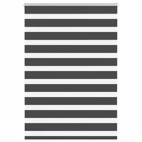 Zebra rolgordijn 105x100 cm stofbreedte 100,9 cm zwart 1