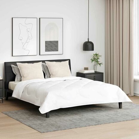 Kussens 2 pcs Wit 60 x 80 cm 1