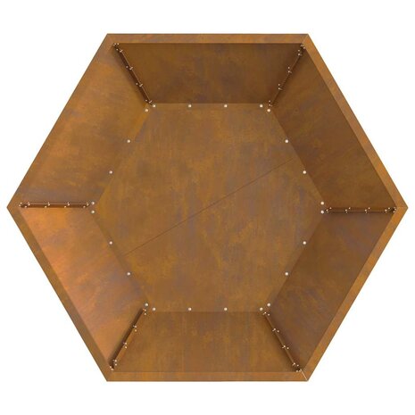 Vuurplaats Hexagonaal 100x100x28 cm Weerbestendig Staal 6