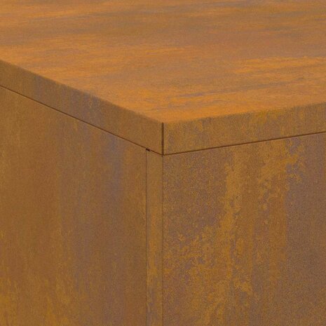 Vuurkorf met Houtopslag 100x100x30 cm Weerbestendig Staal 8