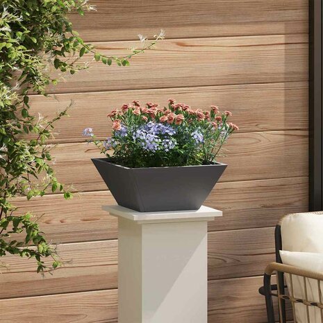 Tuin Plantenbak Zwart 35x35x15 cm Van Staal 3