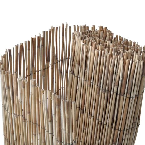 Tuinscherm 300x180 cm riet 2