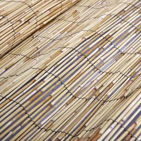 Tuinscherm 300x180 cm riet 3
