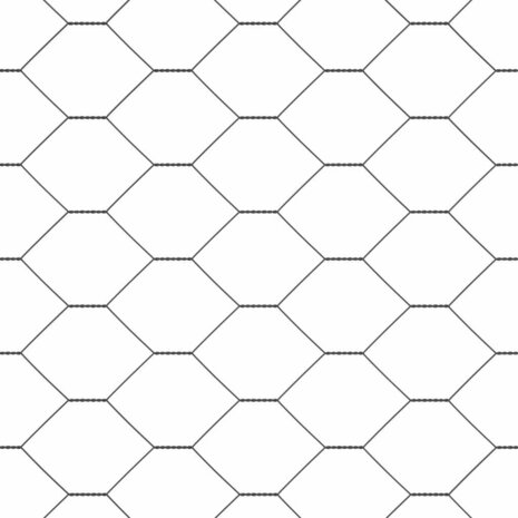 Hexagon Tuinscherm Grijs 0.8x100 m Staal 5
