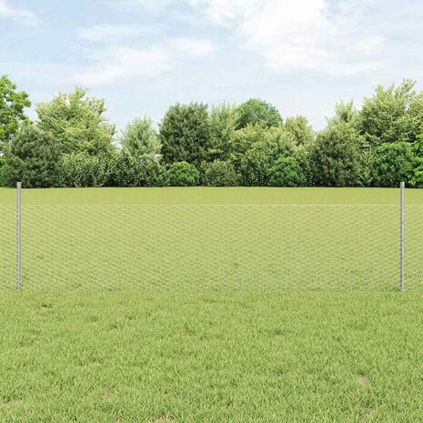 Tuinhek Set Set van 2 Gegalvaniseerd staal 25 x 0.5 m Duurzaam 1