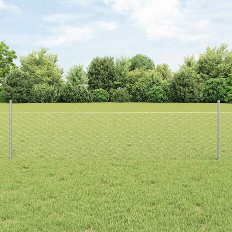 Tuinhek Set Set van 2 Gegalvaniseerd staal 25 x 0.5 m Duurzaam 1