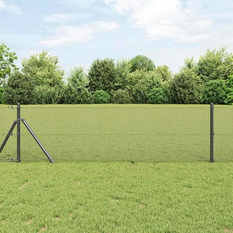 Gelaste Draadhek Grijs 0,8 x 25 m - Staal 1
