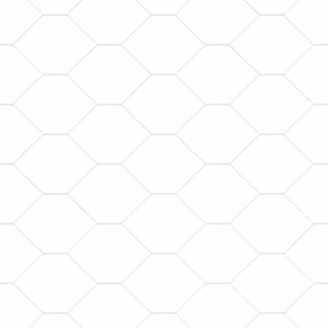 Hexagonschutting 1.2x10 m Verzinkt Staal 8