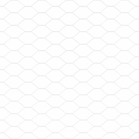 Hexagonalen Schutting 1.6x10 m Gegalvaniseerd Staal 8