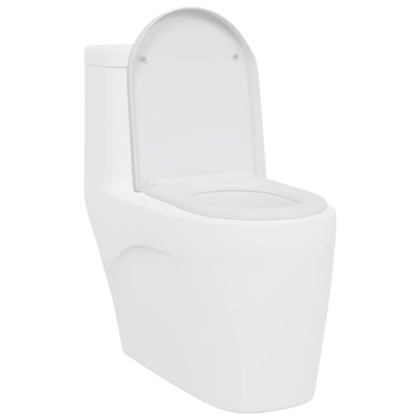 Toiletbril soft-close met quick-release Duroplast wit 2