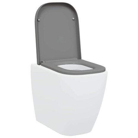 Toiletbril soft-close met quick-release Duroplast grijs 2