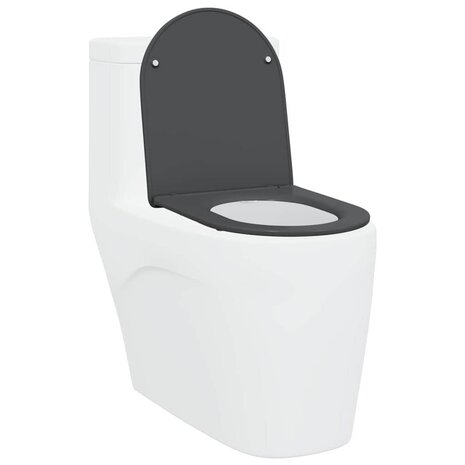 Toiletbril soft-close met quick-release Duroplast antraciet 2