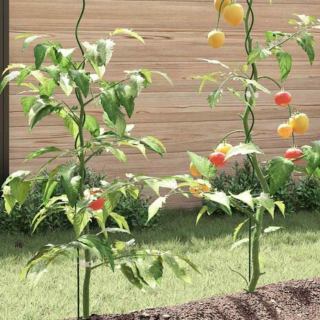 Plantensteunen spiraal 5 st 170 cm staal 2