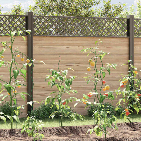 Plantensteunen spiraal 5 st 110 cm staal 1