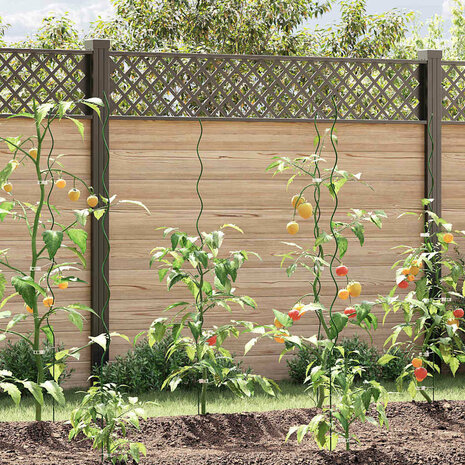 Plantensteunen spiraal 50 st 150 cm staal 1