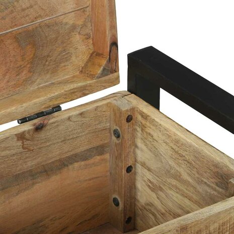 Opbergkisten 60x30x30cm van Massief Mangohout en Metaal 8
