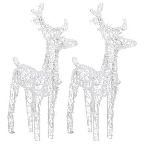 Kerstrendieren 2 st 80 LED&apos;s acryl koudwit 3