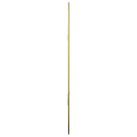 Wandspiegel 50x35 cm goudkleurig 5