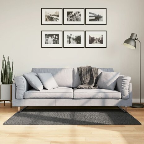Vloerkleed IZA laagpolig Scandinavisch 80x150 cm antraciet 1