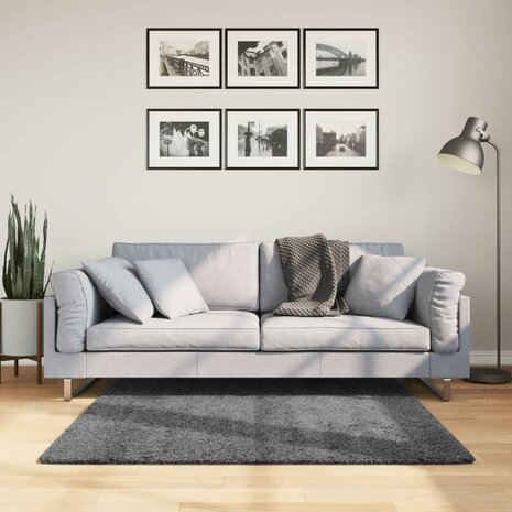 Vloerkleed OVIEDO laagpolig 120x120 cm antracietkleurig 1