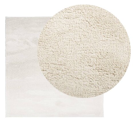 Vloerkleed OVIEDO laagpolig 120x120 cm beige 3