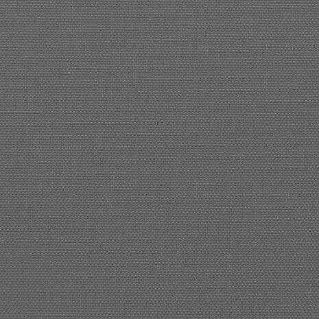 Windscherm uittrekbaar 100x300 cm antracietkleurig 9