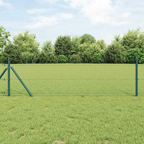 Hexagon Tuinhek Groen 0,5x100 m Staal 1