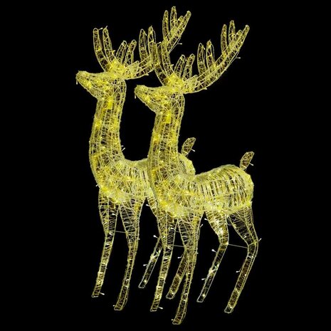 Kerstdecoratie rendier XXL 2 st 250 LED&apos;s warmwit 180 cm acryl 2