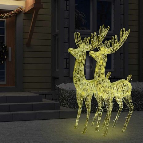 Kerstdecoratie rendier XXL 2 st 250 LED&apos;s warmwit 180 cm acryl 6