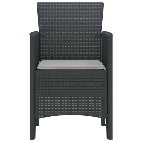 Tuinstoel 2 pcs Antraciet 53 x 49 x 85 cm PP 6