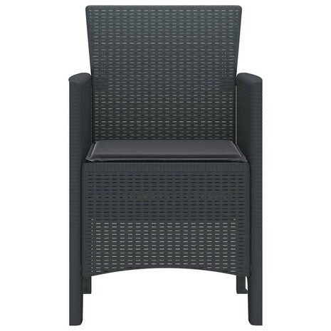 Tuinstoel 2 pcs Antraciet 53 x 49 x 85 cm PP 6