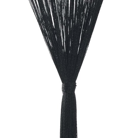 Draadgordijnen 2 st 100x250 cm zwart 7