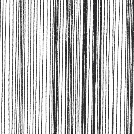 Draadgordijnen 2 st 100x250 cm zwart 8