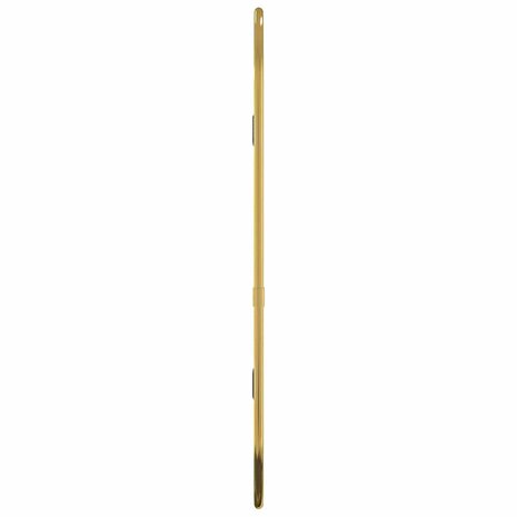 Wandspiegel 40x15 cm ovaal goudkleurig 4
