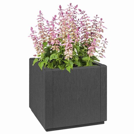 Tuin Bloempot Antraciet 36 x 36 x 35 cm Polypropyleen 2