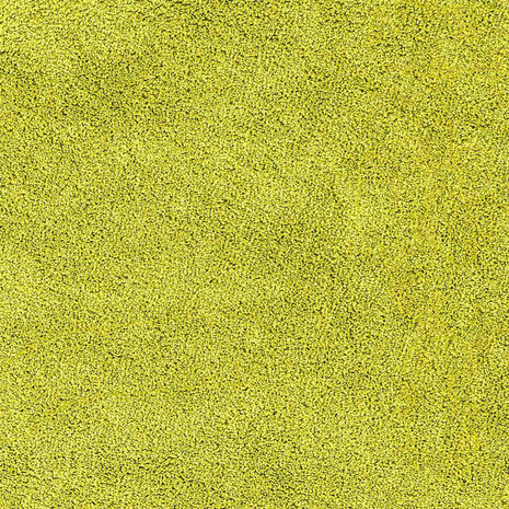 Antislip Badmat Groen 70 x 120 cm PP 8