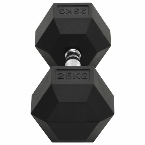 Halters 25 kg gietijzer 4