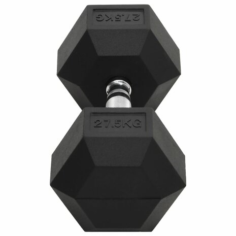 Halters 27,5 kg gietijzer 4