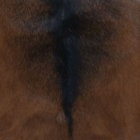 Kruk inklapbaar geitenleer en massief teakhout 6