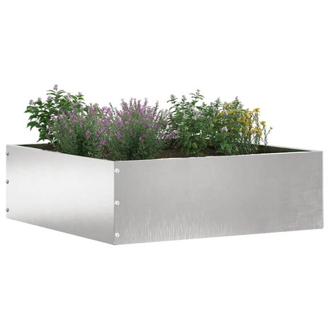 Tuinrand Zilver 40 x 40 x 13 cm Roestvrij staal 2